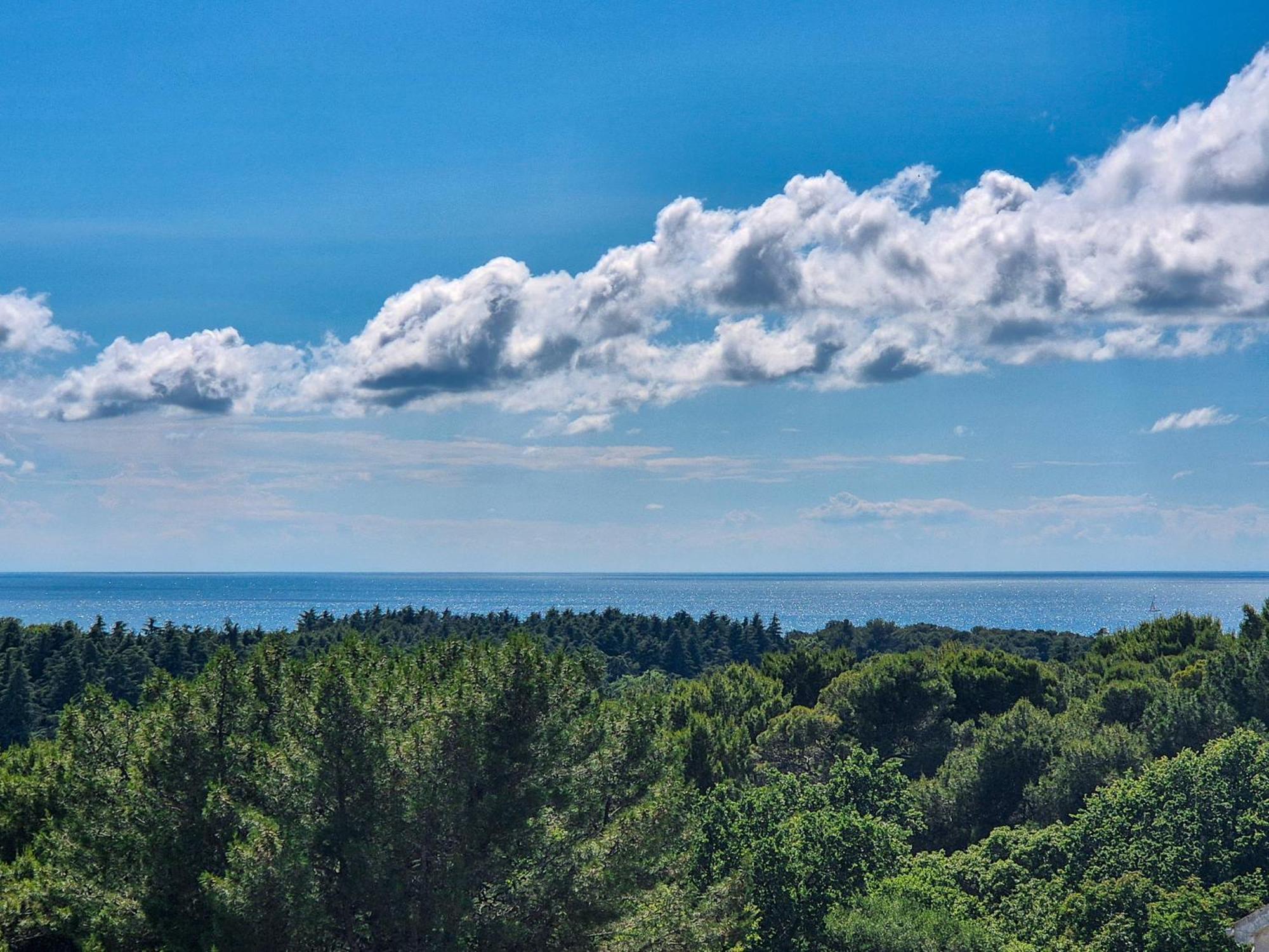 Ferienwohnungen Velijoze Poreč Zewnętrze zdjęcie